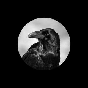 无尽怪物粗暴肛交
