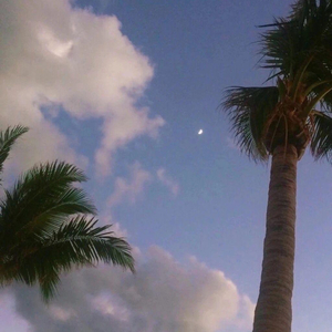 无尽怪物粗暴肛交
